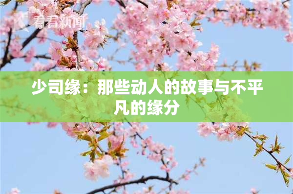 少司缘：那些动人的故事与不平凡的缘分