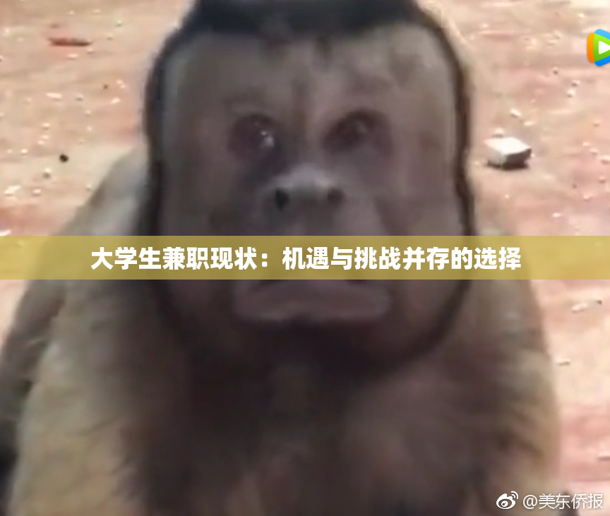 大学生兼职现状：机遇与挑战并存的选择
