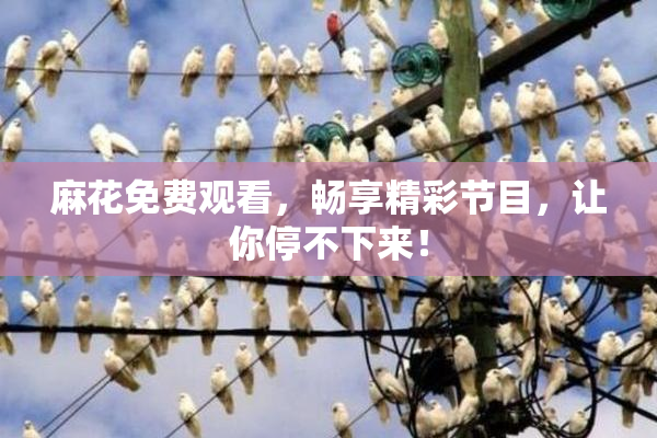 麻花免费观看，畅享精彩节目，让你停不下来！