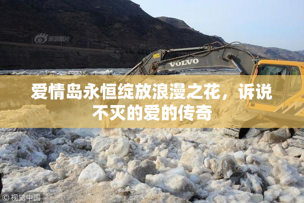 爱情岛永恒绽放浪漫之花，诉说不灭的爱的传奇