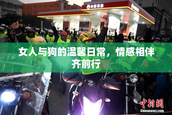 女人与狗的温馨日常，情感相伴齐前行