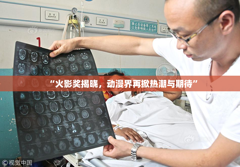“火影奖揭晓，动漫界再掀热潮与期待”