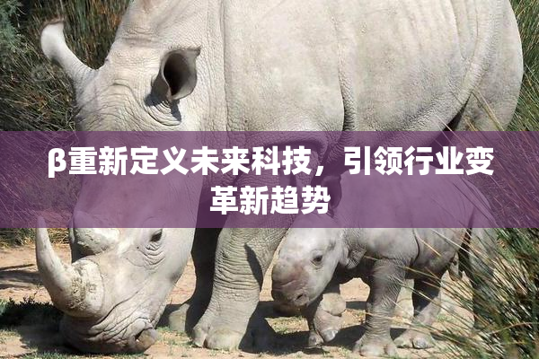 β重新定义未来科技，引领行业变革新趋势