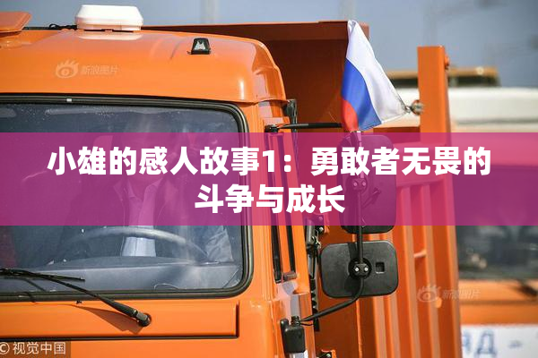 小雄的感人故事1：勇敢者无畏的斗争与成长