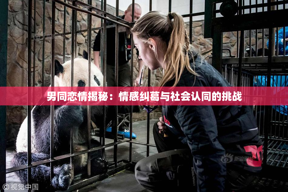 男同恋情揭秘：情感纠葛与社会认同的挑战