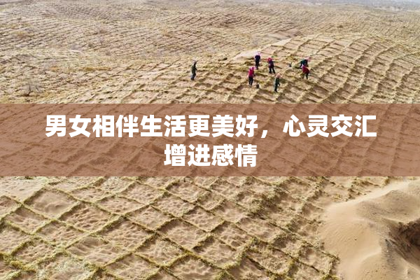 男女相伴生活更美好，心灵交汇增进感情