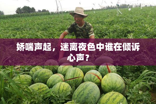 娇喘声起，迷离夜色中谁在倾诉心声？