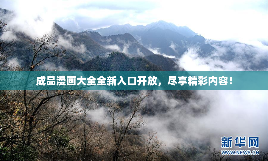 成品漫画大全全新入口开放，尽享精彩内容！