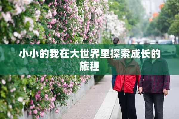 小小的我在大世界里探索成长的旅程