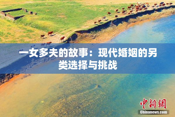 一女多夫的故事：现代婚姻的另类选择与挑战