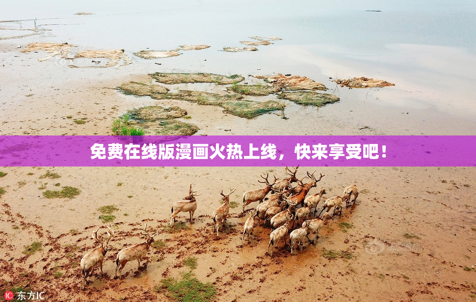 免费在线版漫画火热上线，快来享受吧！