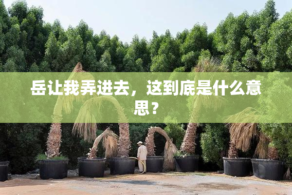 岳让我弄进去，这到底是什么意思？