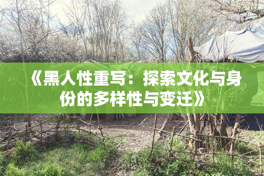 《黑人性重写：探索文化与身份的多样性与变迁》
