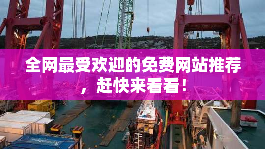 全网最受欢迎的免费网站推荐，赶快来看看！