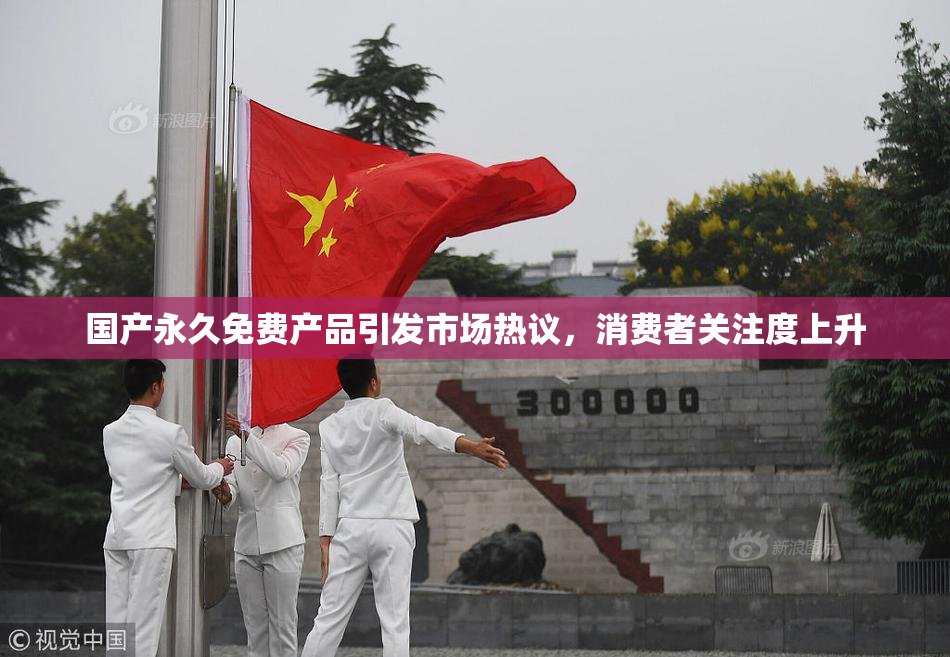 国产永久免费产品引发市场热议，消费者关注度上升