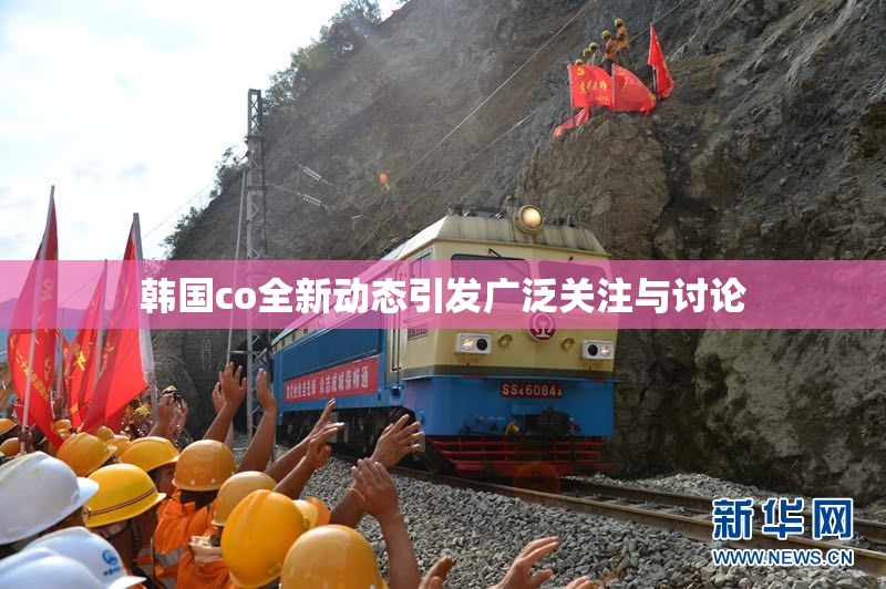 韩国co全新动态引发广泛关注与讨论