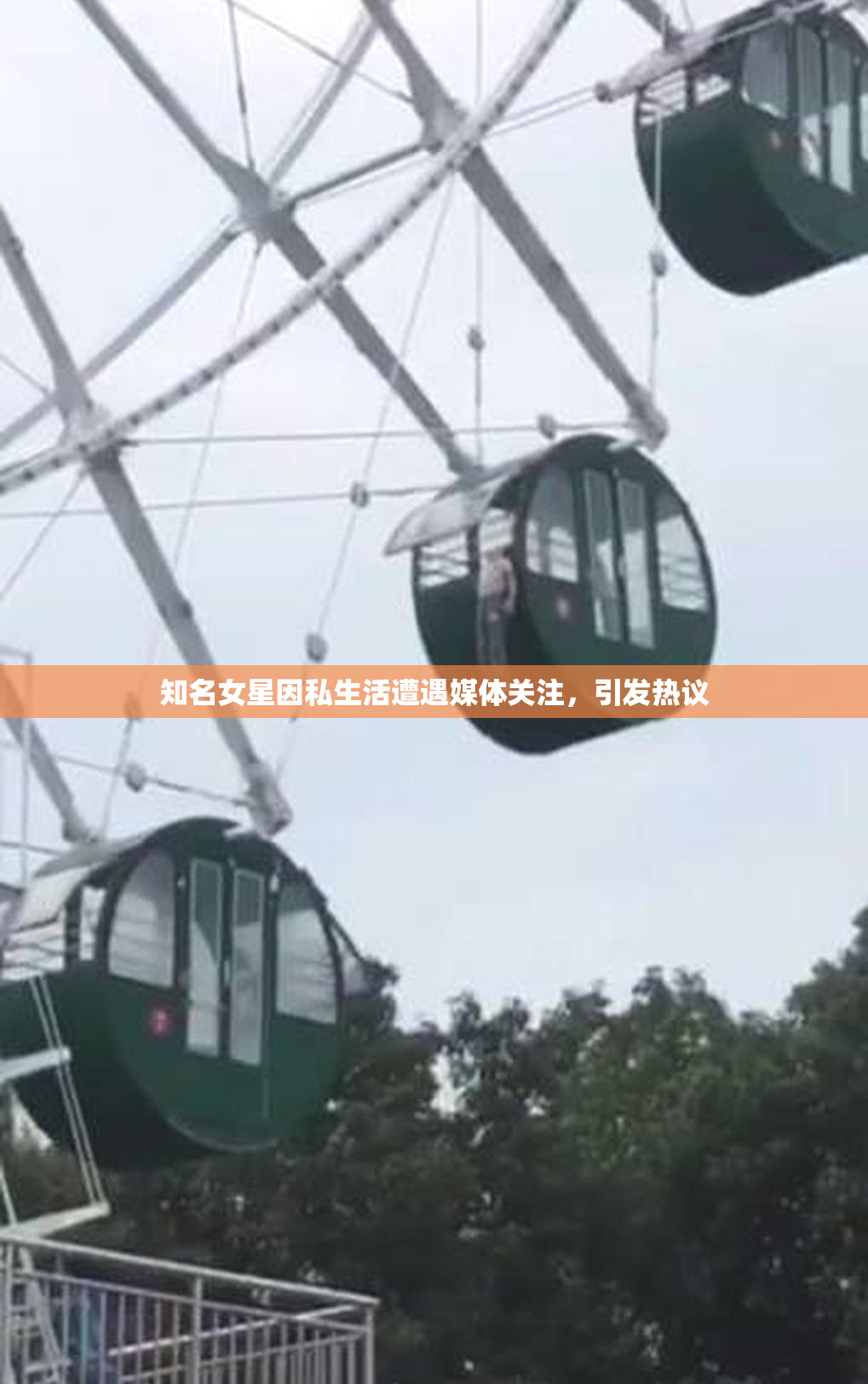 知名女星因私生活遭遇媒体关注，引发热议