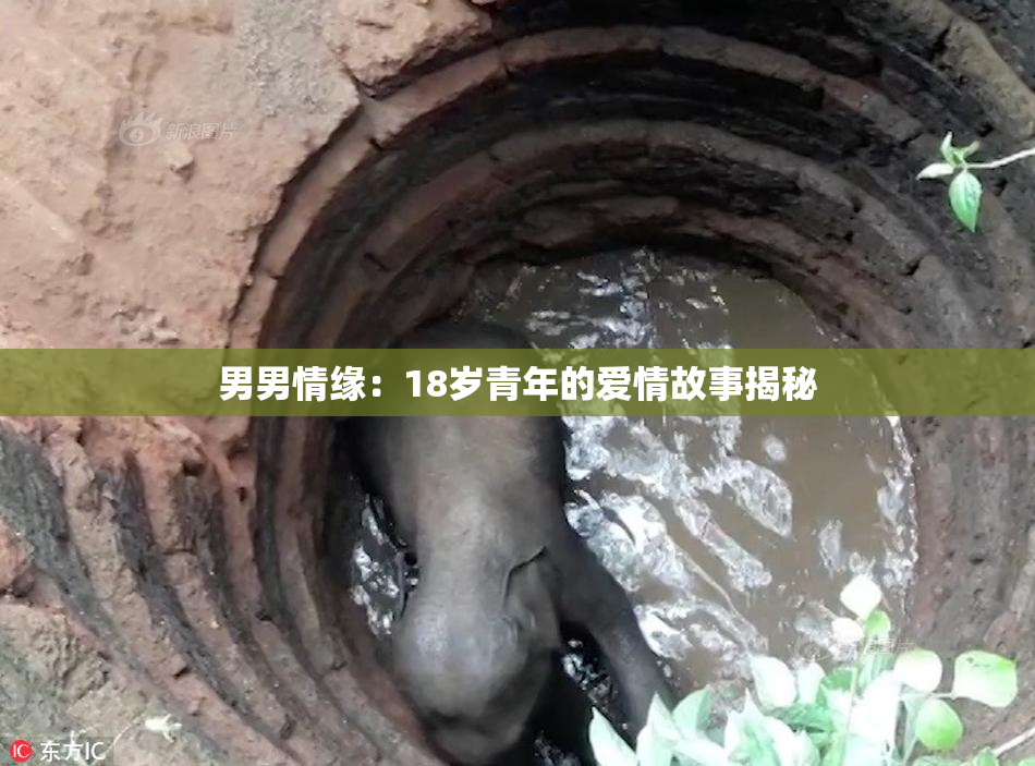 男男情缘：18岁青年的爱情故事揭秘