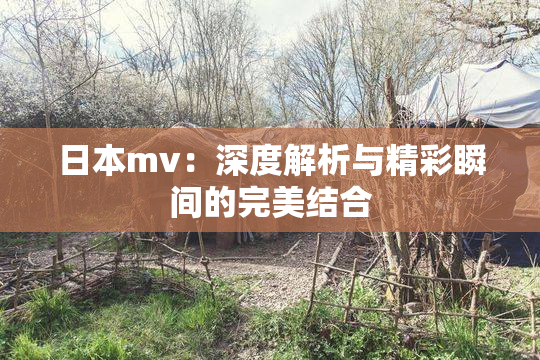 日本mv：深度解析与精彩瞬间的完美结合
