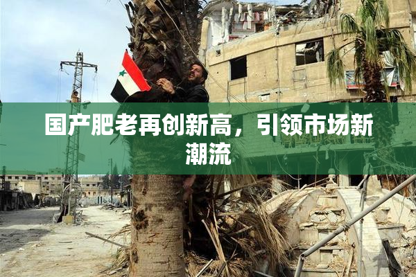 国产肥老再创新高，引领市场新潮流