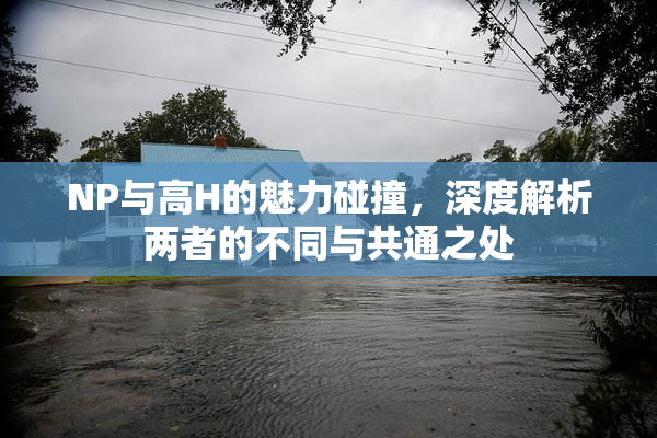 NP与高H的魅力碰撞，深度解析两者的不同与共通之处