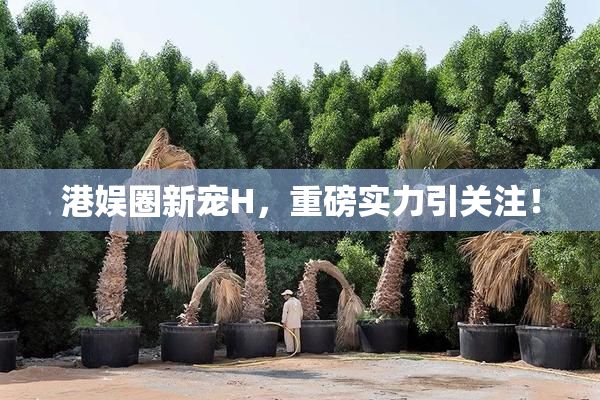 港娱圈新宠H，重磅实力引关注！