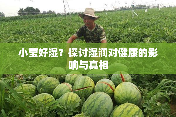 小莹好湿？探讨湿润对健康的影响与真相