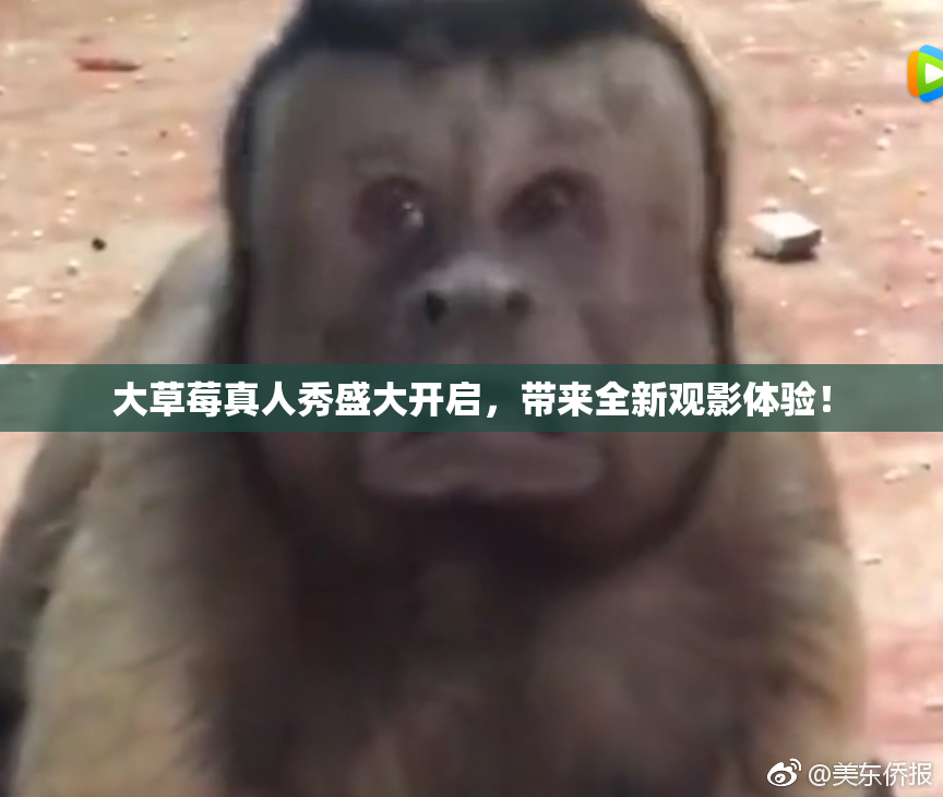 大草莓真人秀盛大开启，带来全新观影体验！