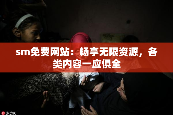 sm免费网站：畅享无限资源，各类内容一应俱全