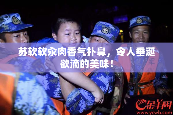 苏软软汆肉香气扑鼻，令人垂涎欲滴的美味！
