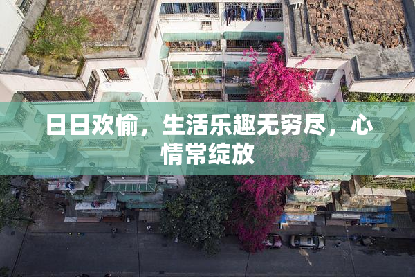 日日欢愉，生活乐趣无穷尽，心情常绽放