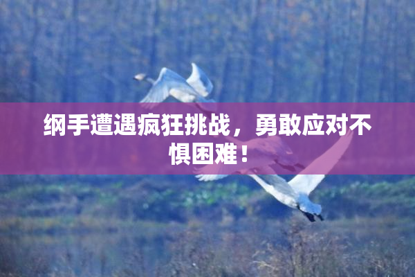 纲手遭遇疯狂挑战，勇敢应对不惧困难！