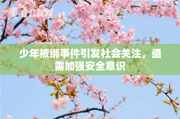 少年被绑事件引发社会关注，亟需加强安全意识