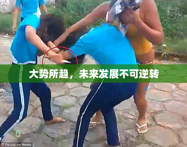 大势所趋，未来发展不可逆转