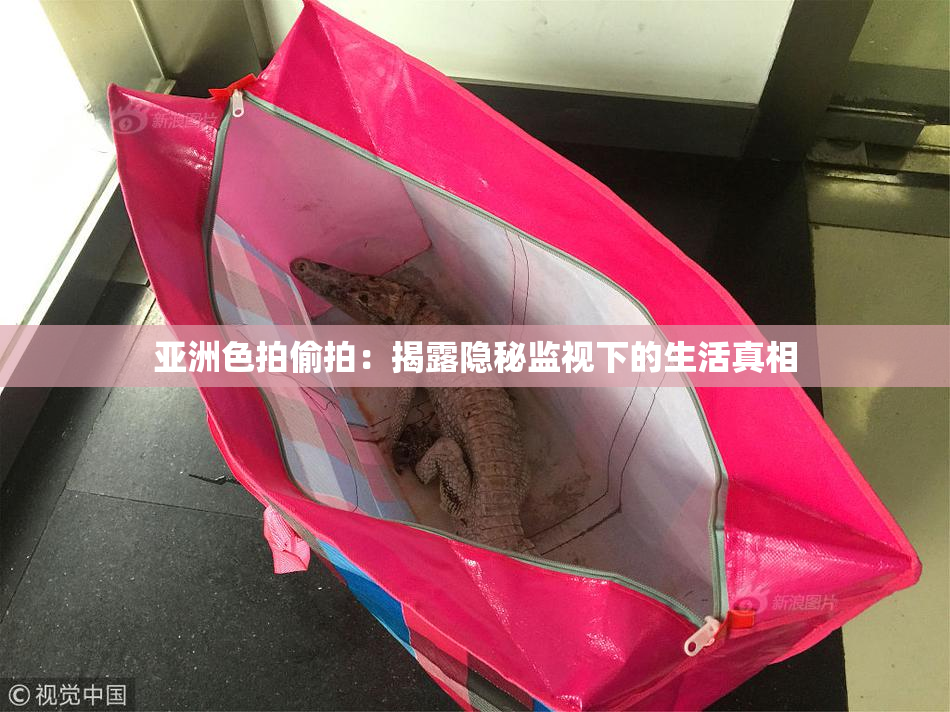 亚洲色拍偷拍：揭露隐秘监视下的生活真相