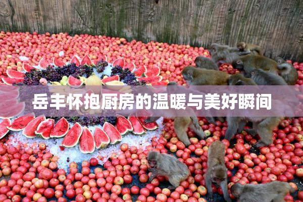 岳丰怀抱厨房的温暖与美好瞬间