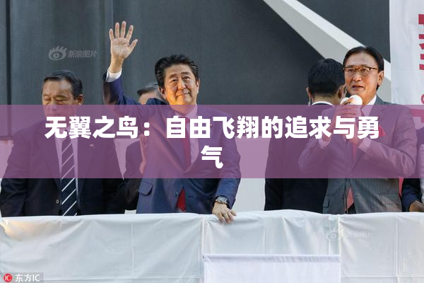 无翼之鸟：自由飞翔的追求与勇气
