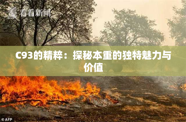 C93的精粹：探秘本重的独特魅力与价值