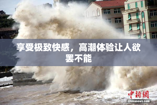 享受极致快感，高潮体验让人欲罢不能