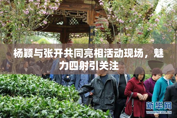 杨颖与张开共同亮相活动现场，魅力四射引关注