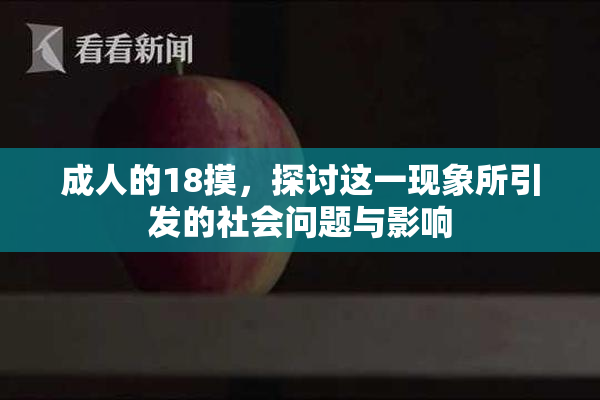 成人的18摸，探讨这一现象所引发的社会问题与影响