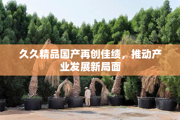 久久精品国产再创佳绩，推动产业发展新局面