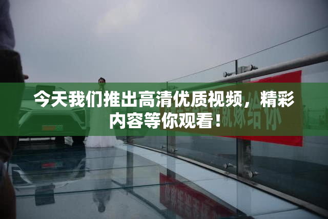 今天我们推出高清优质视频，精彩内容等你观看！