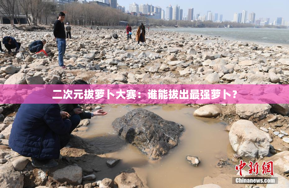 二次元拔萝卜大赛：谁能拔出最强萝卜？