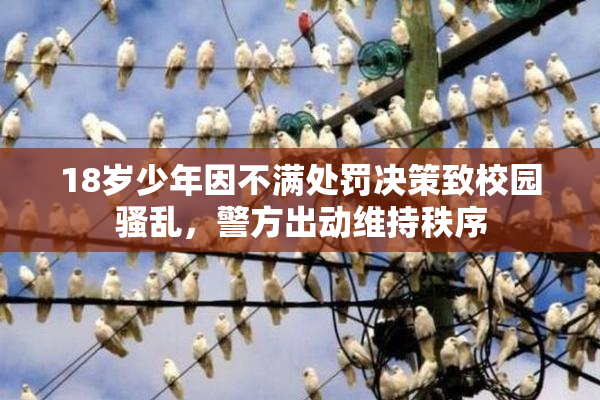 18岁少年因不满处罚决策致校园骚乱，警方出动维持秩序
