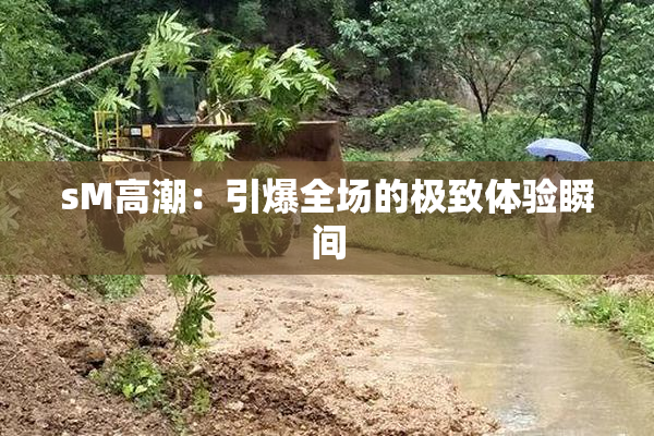 sM高潮：引爆全场的极致体验瞬间