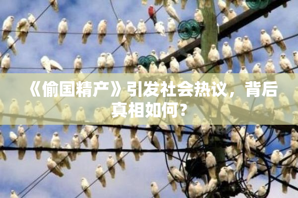 《偷国精产》引发社会热议，背后真相如何？
