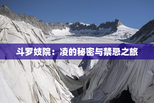 斗罗妓院：凌的秘密与禁忌之旅