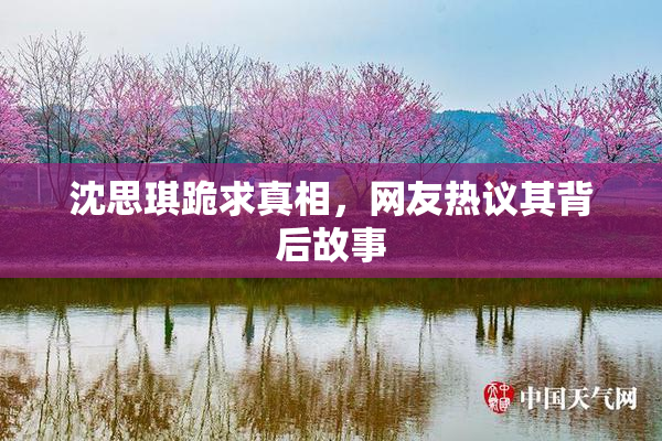 沈思琪跪求真相，网友热议其背后故事