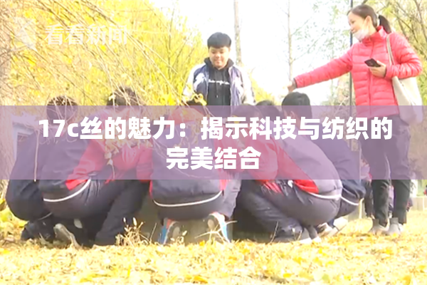 17c丝的魅力：揭示科技与纺织的完美结合